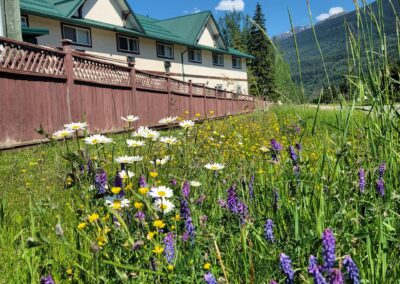 The Raven’s Nest Hotel